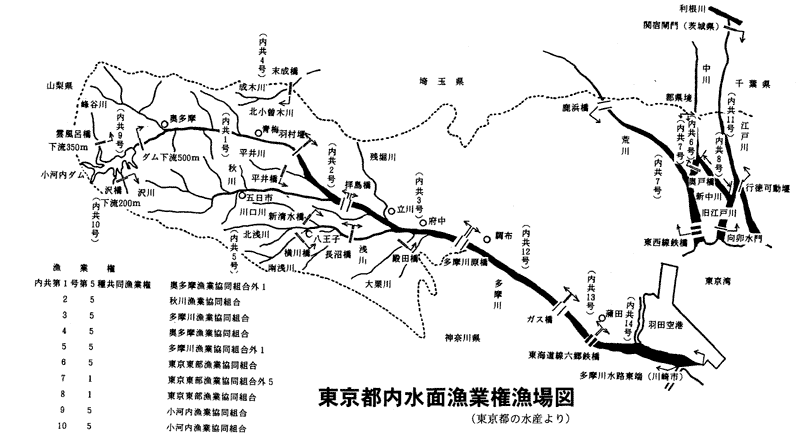 奥多摩分場ニュース第66号